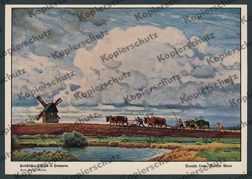 Hans hartig - hans,